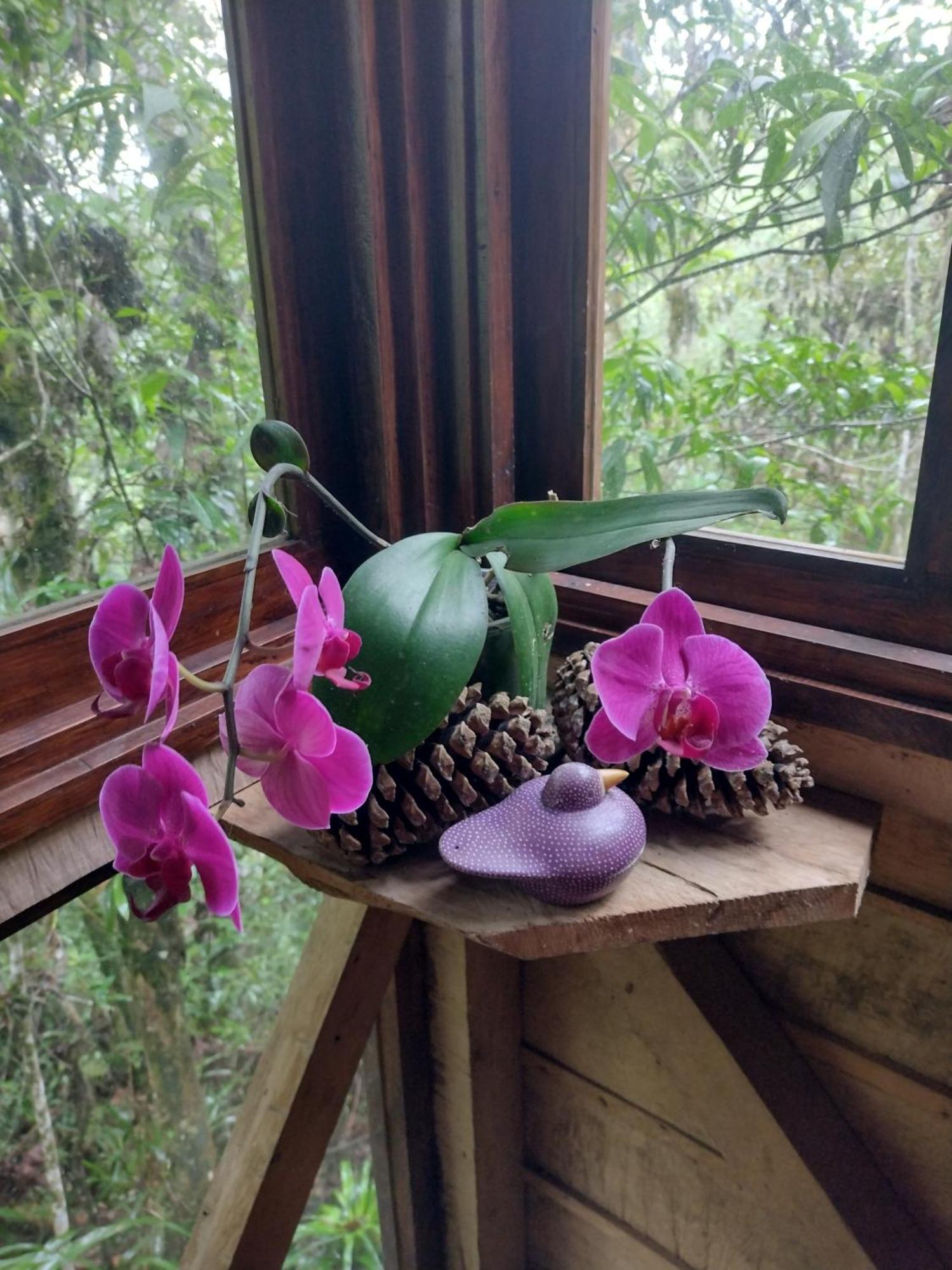 Paraiso Verde Chijou Esterno foto